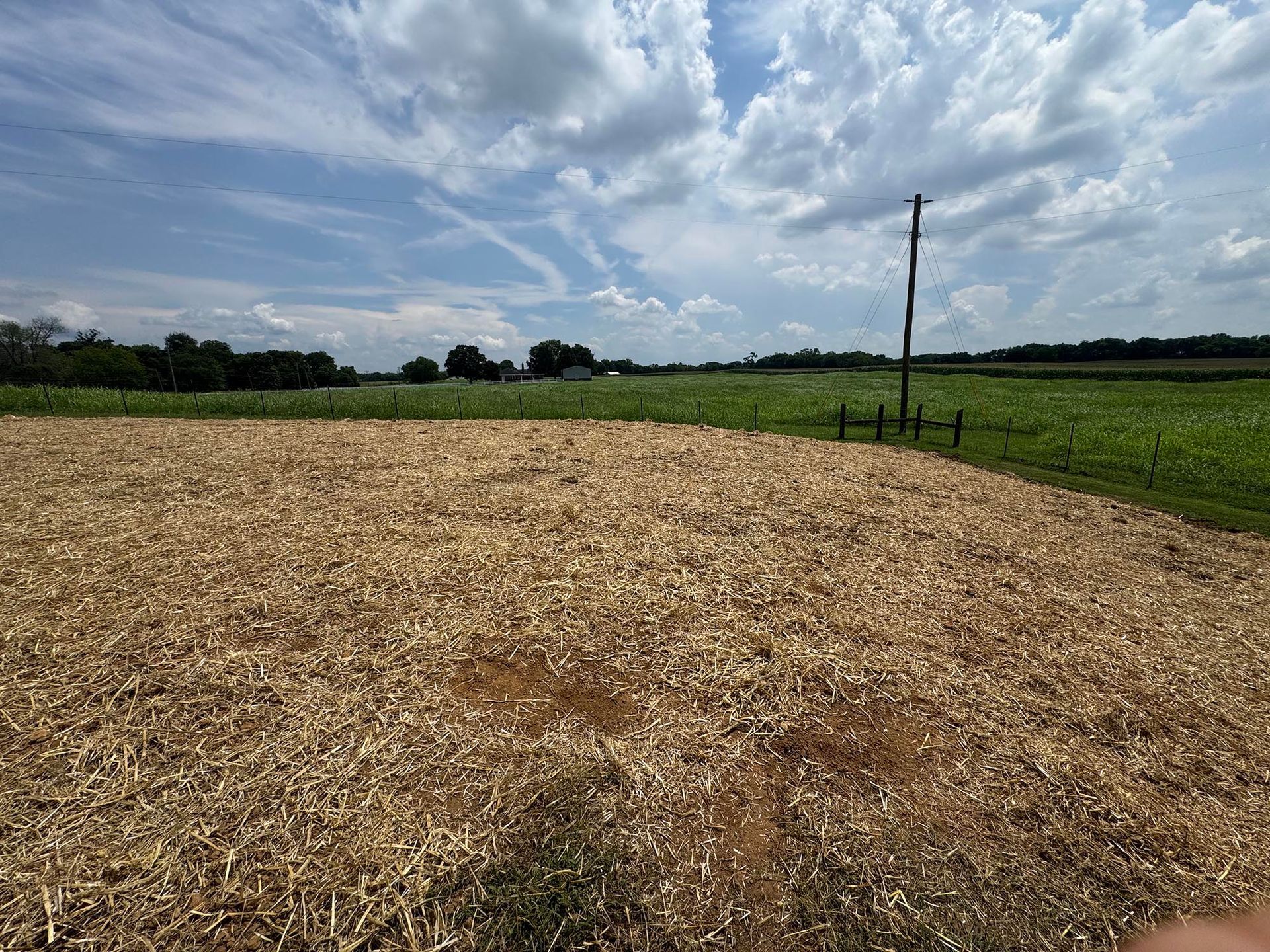 Field covered in straw under a blue sky with clouds; trees and crops in the distance.