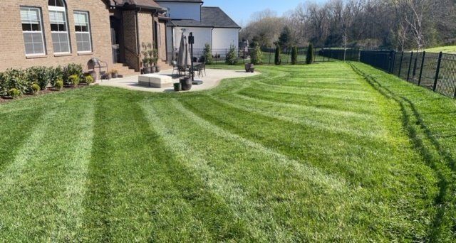 Lawn freshly mowed with striped pattern. Green grass, sunny day, near a house and fence.