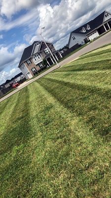 Lawn with striped pattern, houses in background under a cloudy sky.