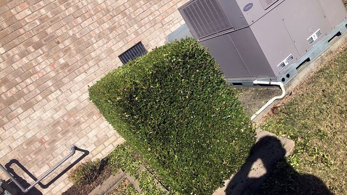 Green hedge next to an air conditioning unit and brown roof. Sunny day.