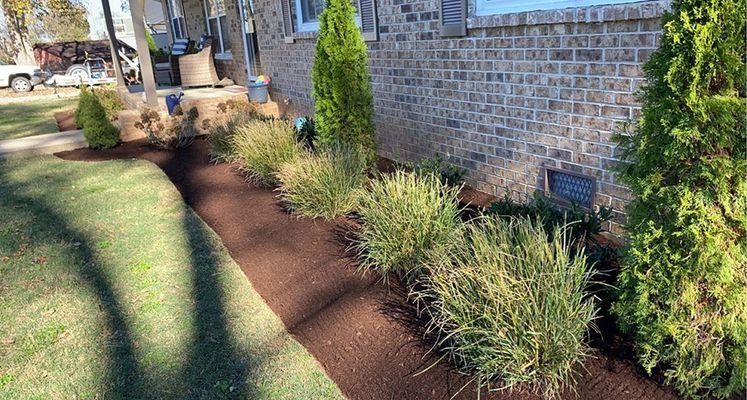 A landscaped flower bed with brown mulch and green shrubs and bushes next to a brick house.