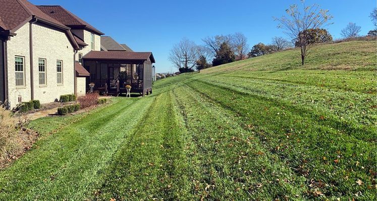 Lawn mowed on a hillside next to a house and a small shed on a sunny day.