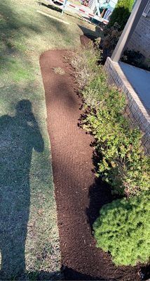 A freshly mulched garden bed borders a building, next to green bushes and a lawn; a shadow of a person is visible.