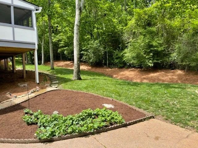 Backyard with green grass, trees, and a mulch bed with plants next to a concrete patio.