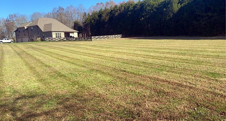 A freshly mowed lawn with a house and a line of trees under a bright blue sky.