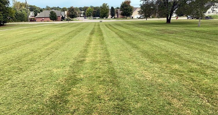 Lawn with parallel cut stripes in a green field with houses and trees in the background.