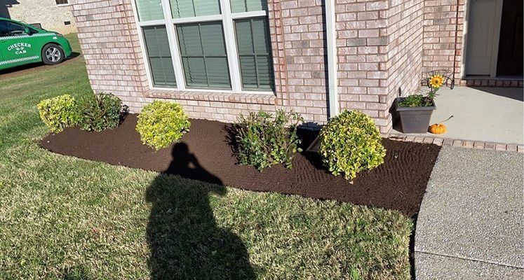 Brown mulched flower bed with green bushes in front of a brick house with a lawn.