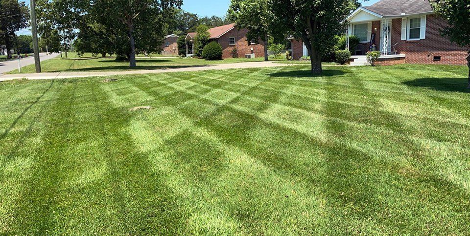 Lawn with a diamond-patterned mowing style in front of a brick house and trees. Sunny day, green grass.