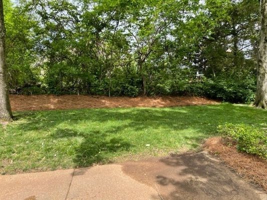 Lawn with green grass and pine straw border. Trees in the background, light brown patio in the foreground.