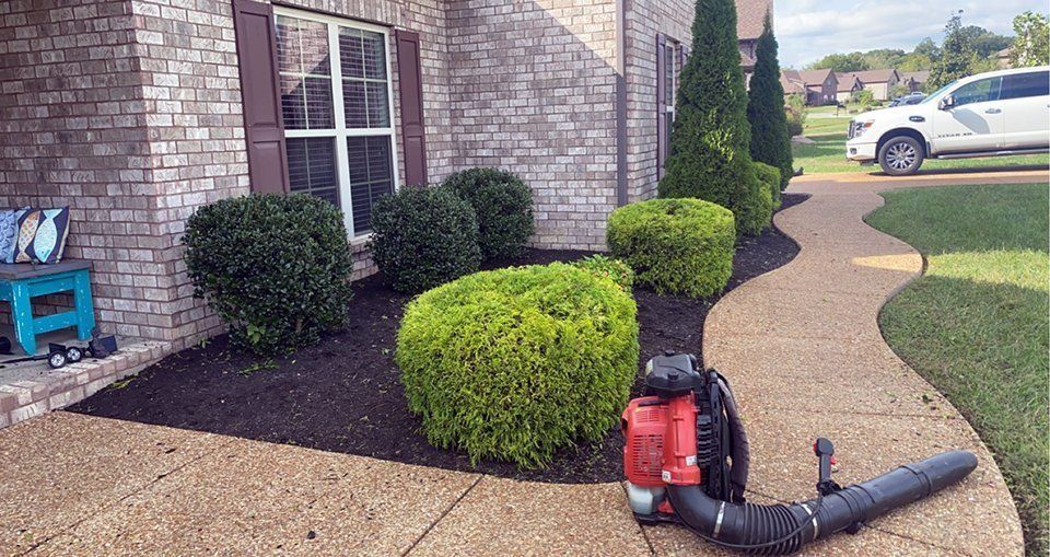 A landscaper uses a blower to clean a walkway with neatly trimmed bushes and fresh mulch.