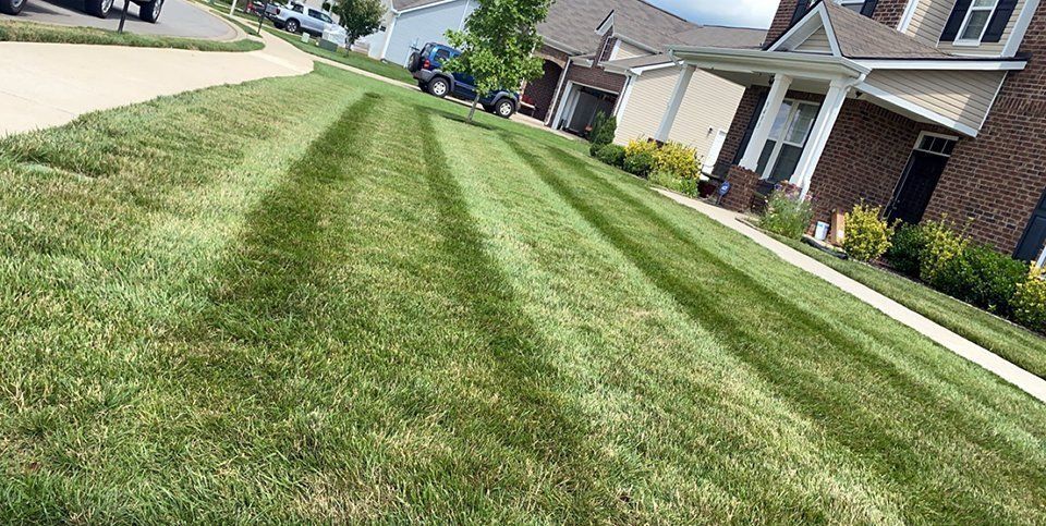Green lawn with neat mowing stripes in front of houses.