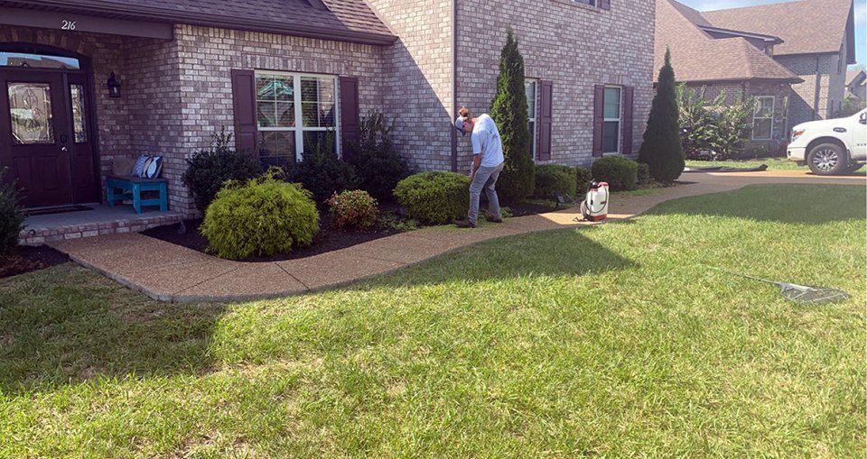 Man walking a dog on the lawn of a brick house. Green grass, shrubs, and a sunny day.