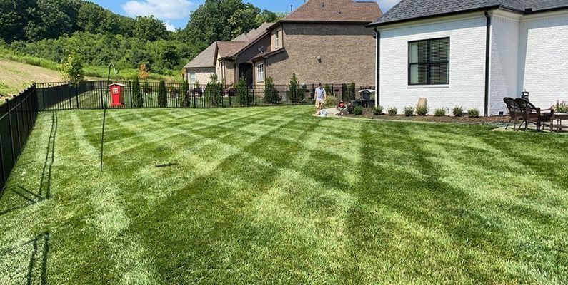 Lawn with a checkered pattern, bordered by a black fence and houses. Lush green grass under a blue sky.