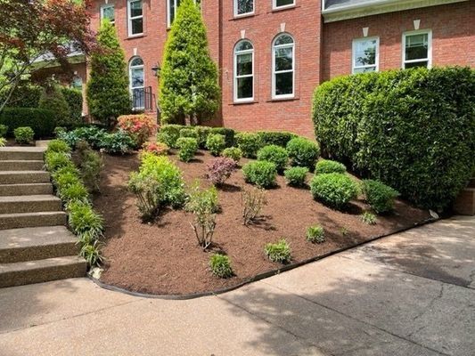 A landscaped front yard with various green shrubs, mulch, and brick home.
