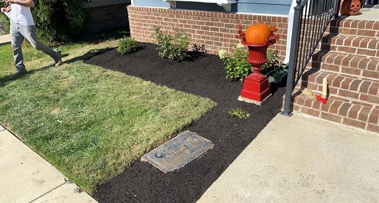 Person walking past a landscaped front yard with grass, dark mulch, and a red decorative stand holding a pumpkin.