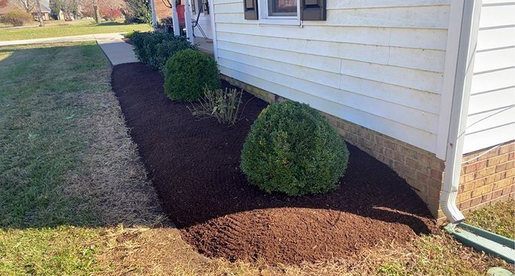 A house with freshly mulched flower bed along the side. Green bushes are present.