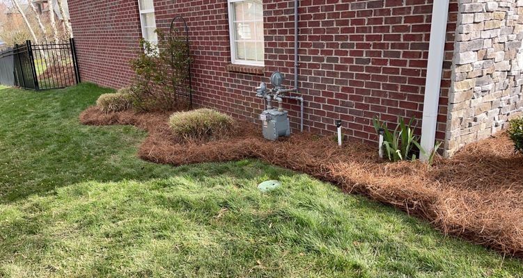 A brick house with brown pine straw mulch beds borders a green lawn.