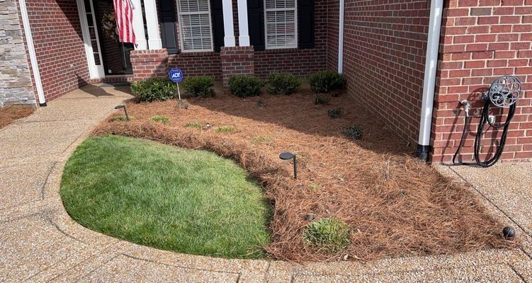 Front yard with grass, pine straw mulch, and brick facade. Pathway leads to door, with landscaping.