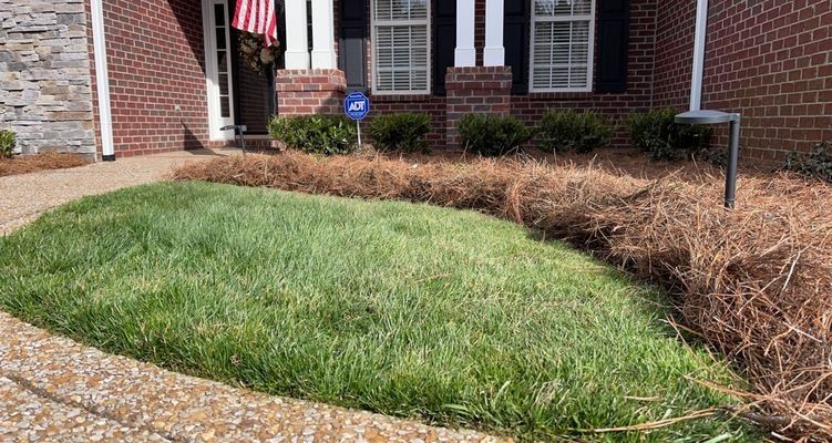Green lawn curves in front of a brick house with dried brown mulch bordering the yard and a front door with an American flag.