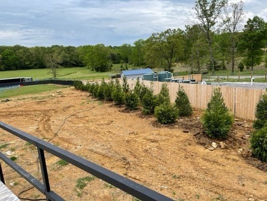 Row of evergreen trees along a wooden fence on a brown dirt lot, with greenery in the background.