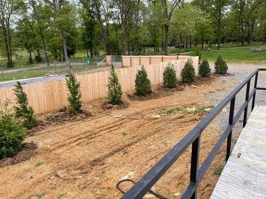Wooden fence with evergreen trees planted in a dirt bed next to a black railing.