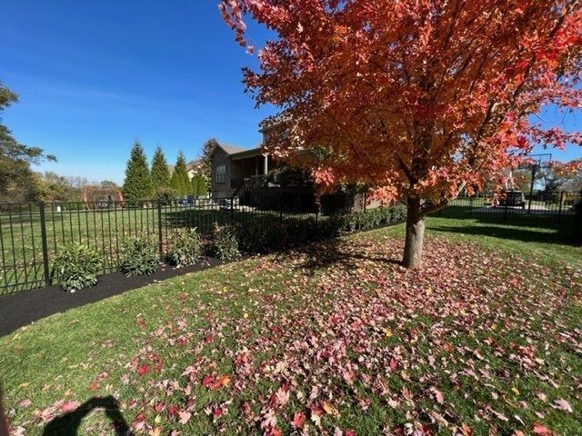 Fall foliage surrounds a tree with vibrant red leaves. A house is visible behind a black fence.