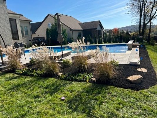 Backyard with a pool, ornamental grasses, and a house under a sunny sky.