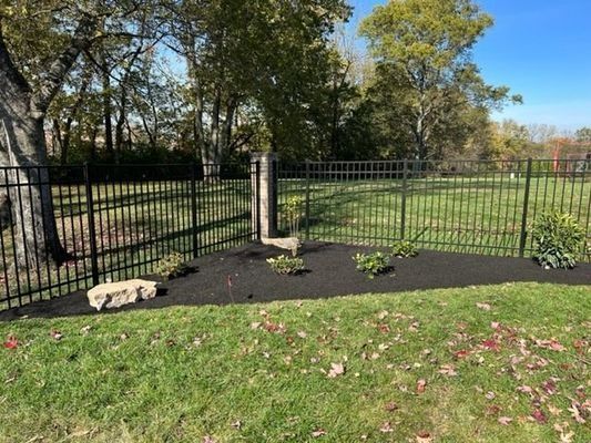Black metal fence surrounding grassy yard with fresh mulch and small plants.