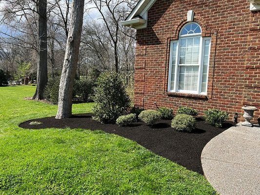 Lawn with fresh black mulch borders red brick house and walkway; tree and shrubs present.