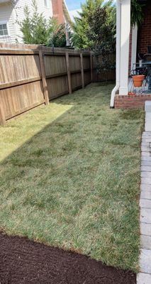 Green grass yard next to a brown wooden fence and brick house.