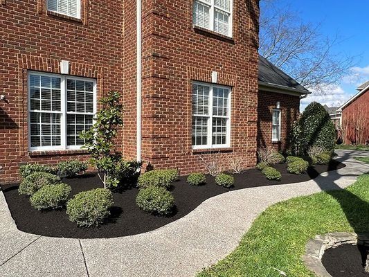 Brick house with white-framed windows, a dark mulch bed, and a curved concrete walkway. Green bushes line the bed.