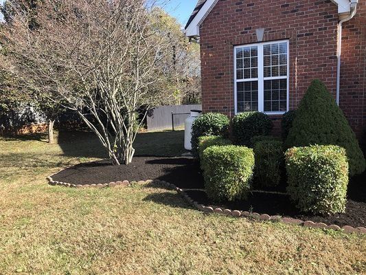 Yard with mulch and trimmed bushes in front of a brick house, with a bare tree on the left.