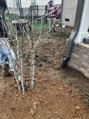Two people planting young trees near a brick home's foundation; brown soil, metal fence in background.
