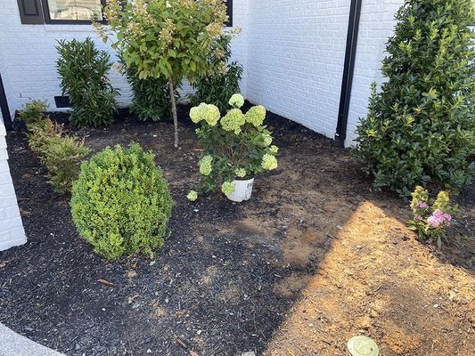 A small front yard garden bed with mulch, plants, and a white house.