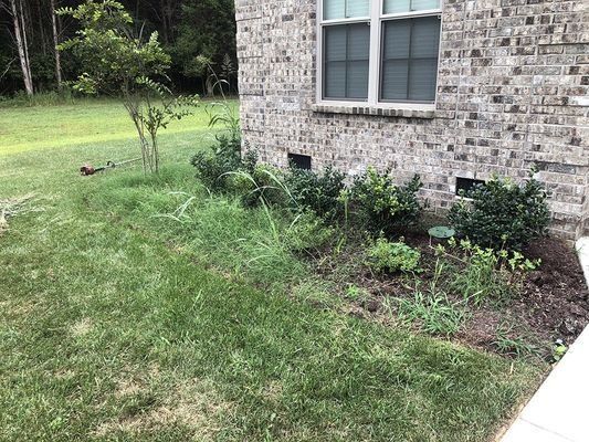 Green overgrown lawn and flower bed next to brick building.