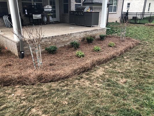 A backyard with a brick patio, flower bed with pine straw mulch, and some small plants.