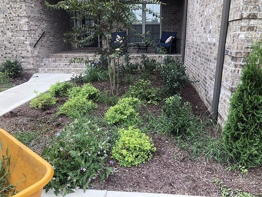 A front yard with a flower bed, mulch, and various green plants near a brick house.