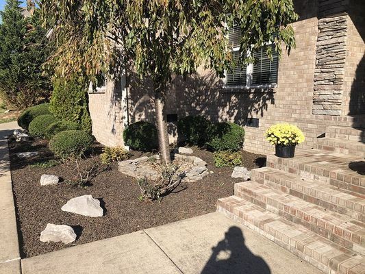 Landscaped front yard with brick steps, brown mulch, and flowering plants.