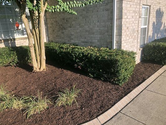 Brown mulch and green bushes line a building with a tree and sidewalk.