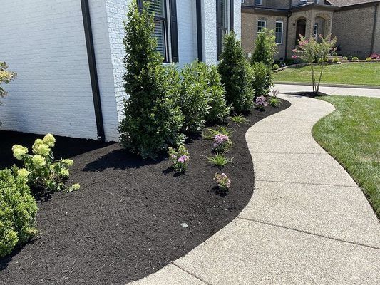 Curved concrete walkway bordered by dark mulch, green bushes, and pink flowers, leading to a house.