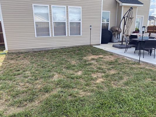 Backyard with patchy grass, a concrete patio, and a house with three windows.