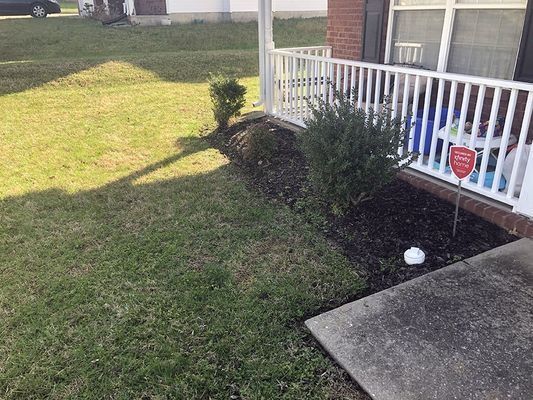 A front yard with a bed of mulch, shrubbery, and a white railing.