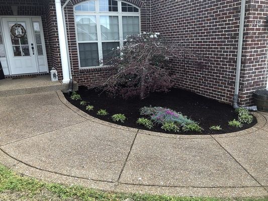 Curved concrete walkway with a dark-mulched flowerbed, small plants, and a weeping tree in front of a brick house.