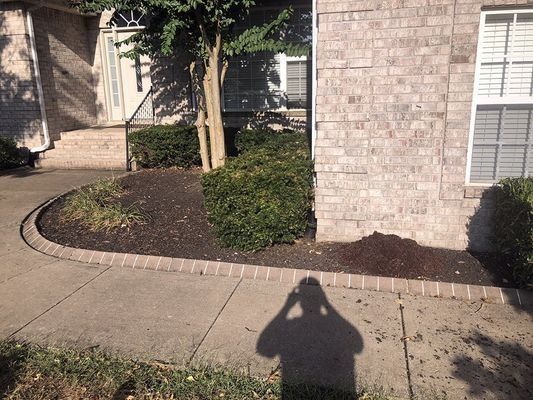 A brick-bordered garden bed with shrubs, mulch, and a tree, next to a brick house, with a person's shadow.