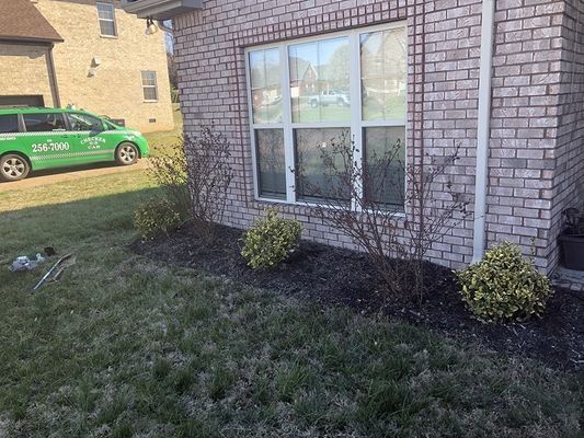 A brick house with a window and landscaping featuring green and brown shrubs and a green lawn.