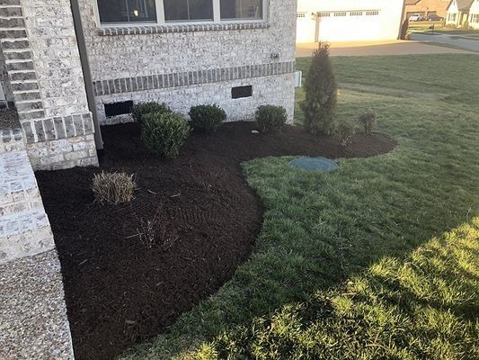 Mulched landscaping in front of a light brick house, with green grass and shrubs.