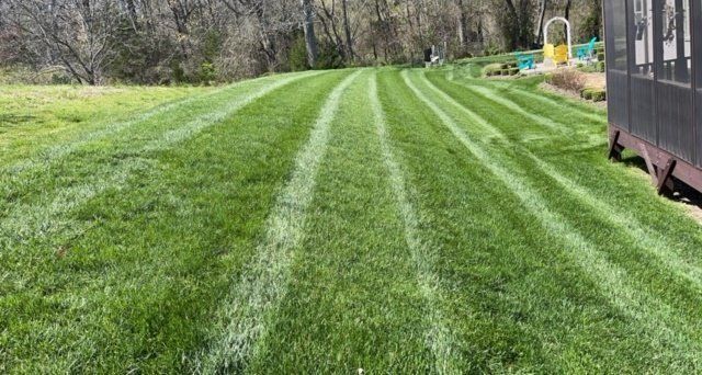 Green lawn with mowing stripes, next to a house and trees.