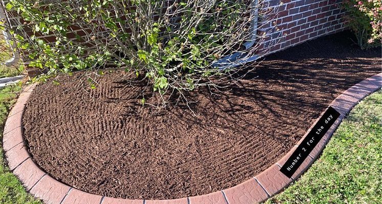 Brown mulched garden bed with brick edging, next to a brick wall and green grass.