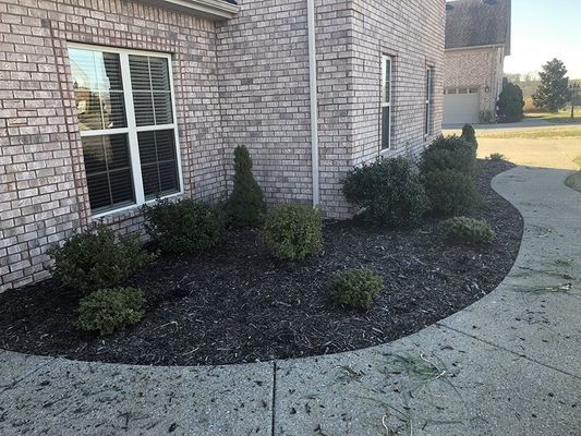Brick house with dark mulch and green bushes bordering a sidewalk.