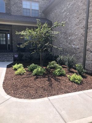 Front yard landscaping with a tree and bushes in a bed of mulch next to a brick building.